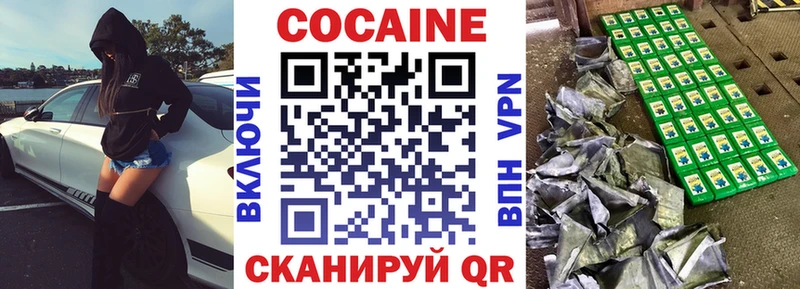 Кокаин FishScale  как найти закладки  Змеиногорск 