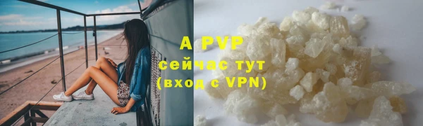 винт Абаза