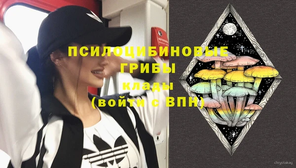 a pvp Абинск